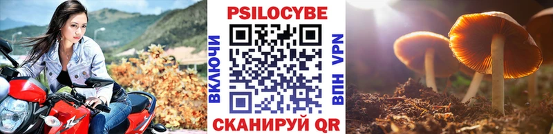 Купить закладки  Удомля  Галлюциногенные грибы мухоморы 